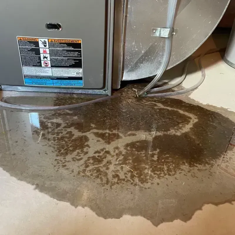 Appliance Leak Cleanup in Pine Knot, KY